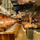 toca madera scottsdale restaurants phoenix