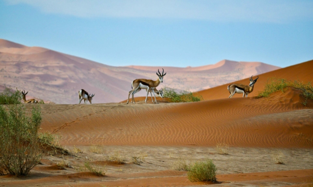 Namibia Africa Desert Hotel, Image 6