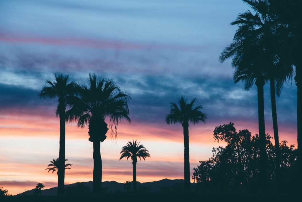 Palm Springs Desert Hotel, image 1