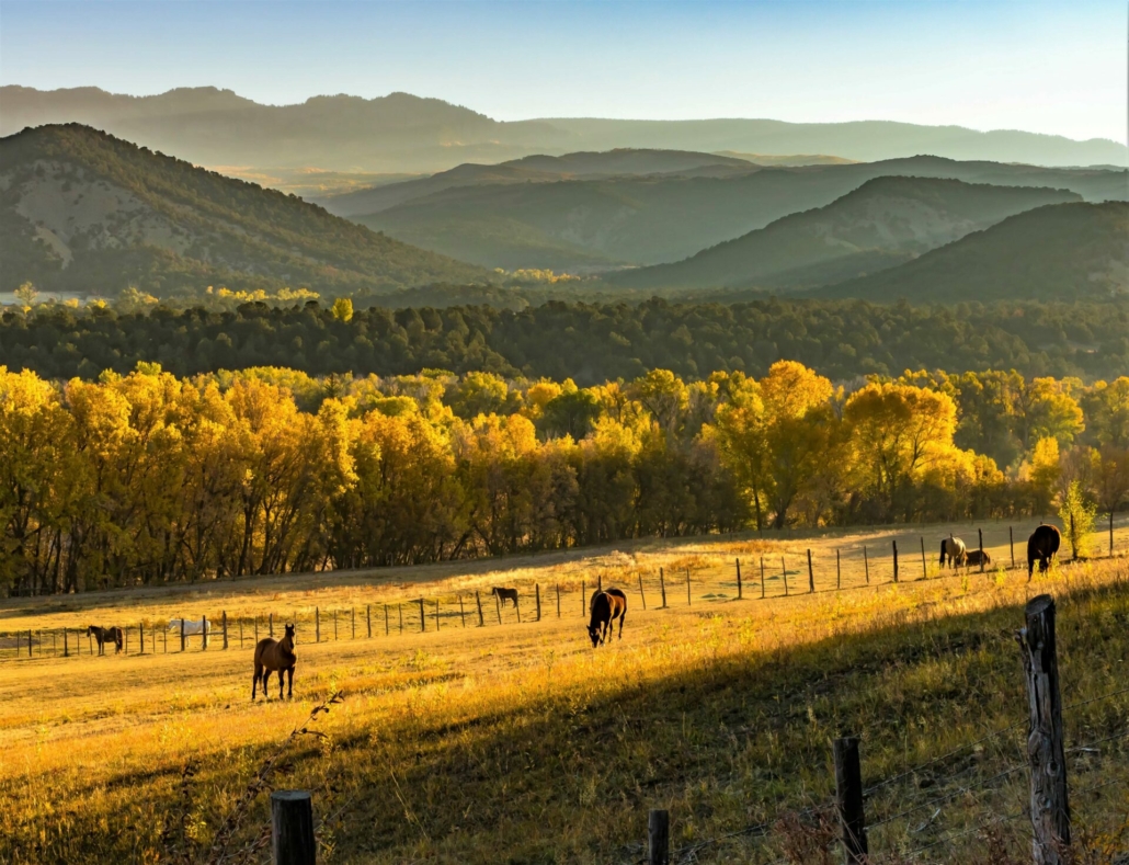 lone mountain ranch