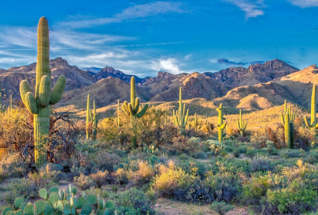 desert yoga vacation