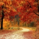 featured image for best fall travel destinations blog