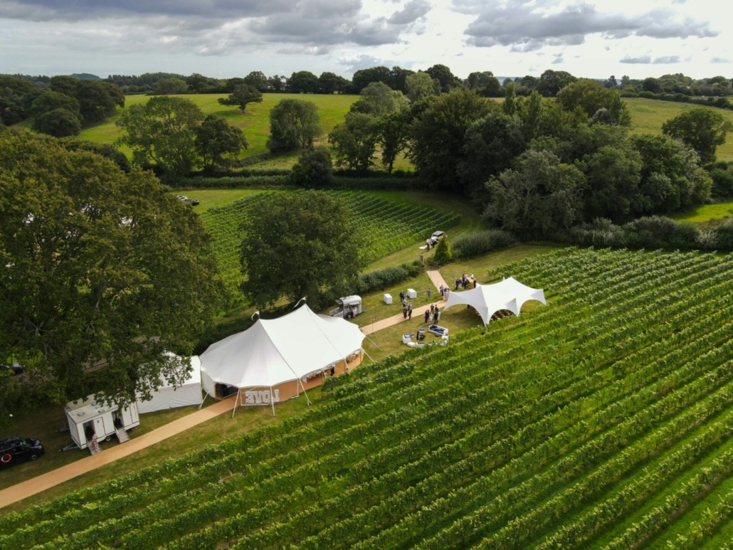 vineyard wedding