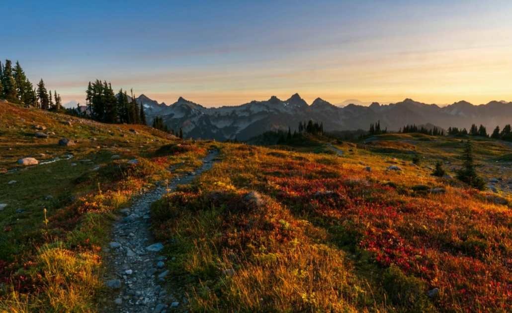 mt. ranier