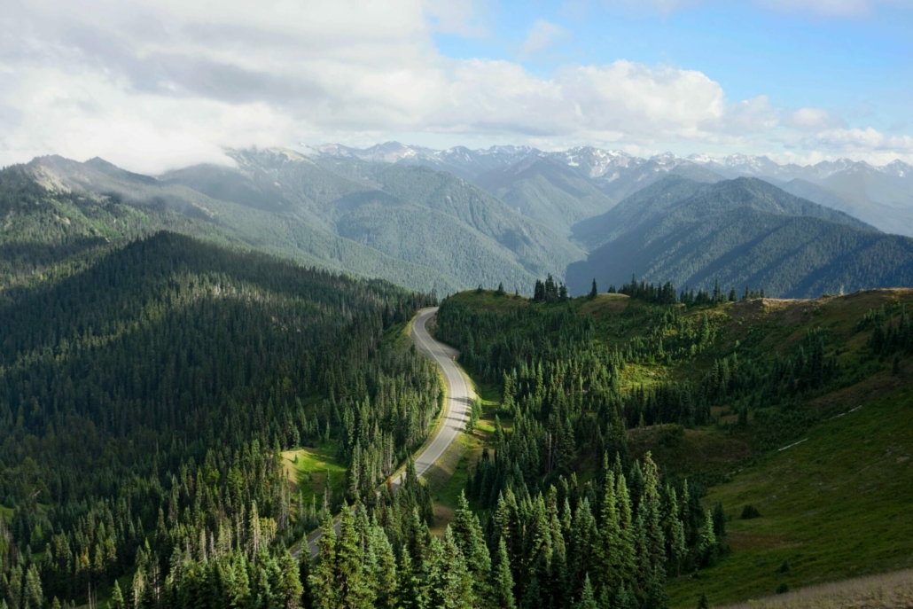 Olympic national park